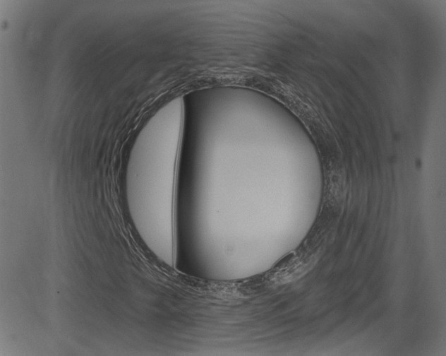X0000082961249200702011104
