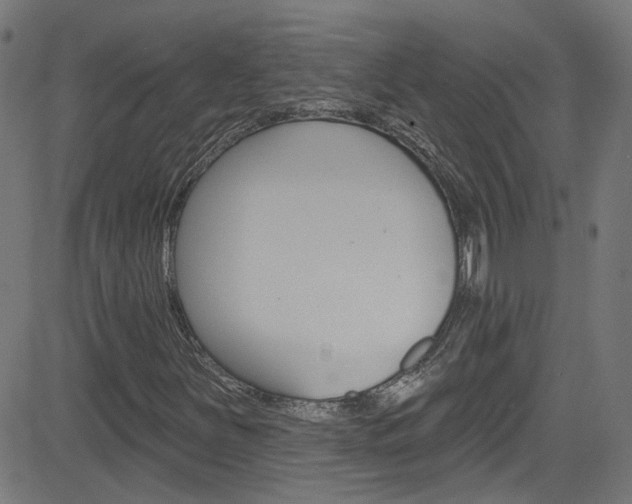 X0000082961251200702011104