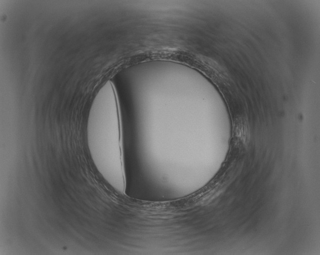 X0000082961252200702011104