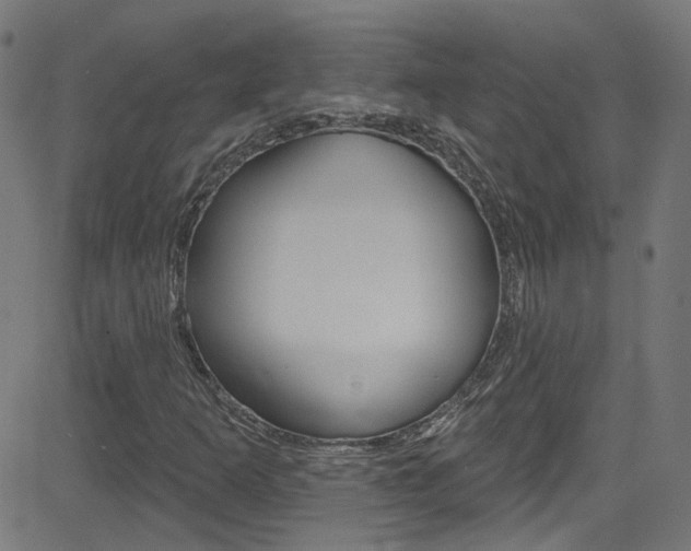 X0000082961253200702011104