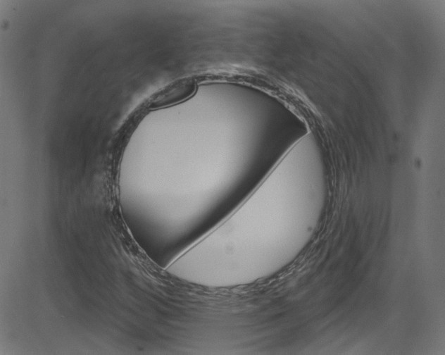 X0000082961256200702011104