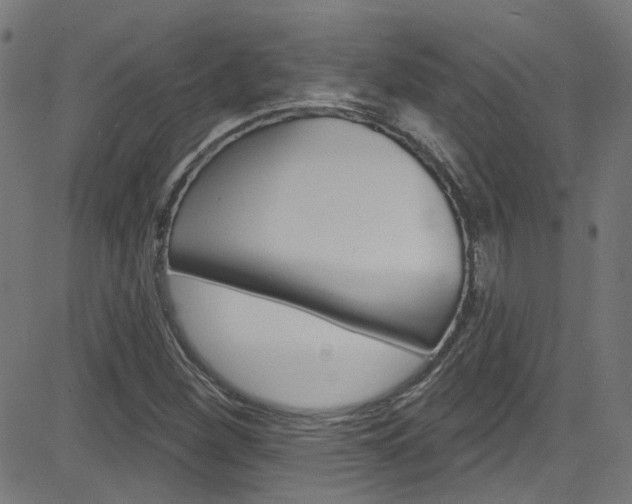 X0000082961260200702011104