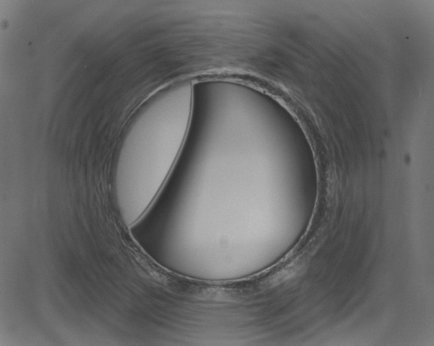 X0000082961265200702011104