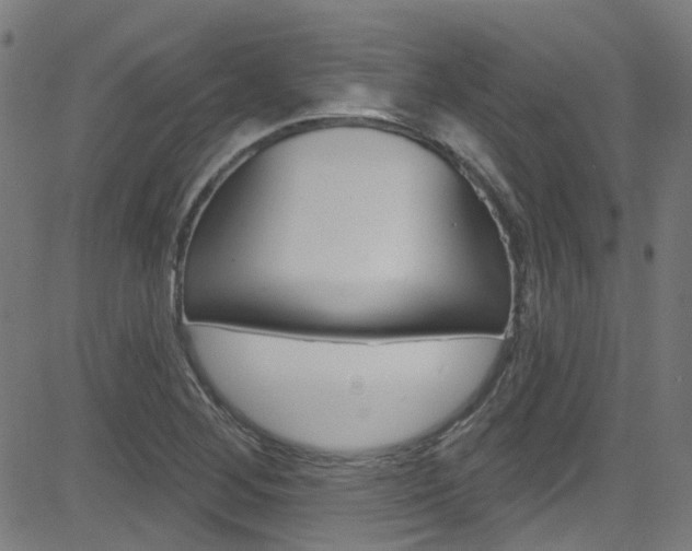 X0000082961268200702011104
