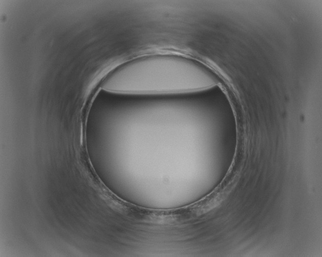 X0000082961269200702011104