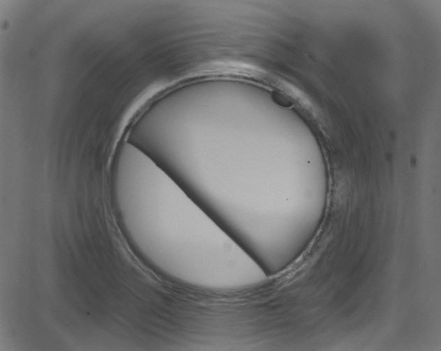 X0000082961275200702011104