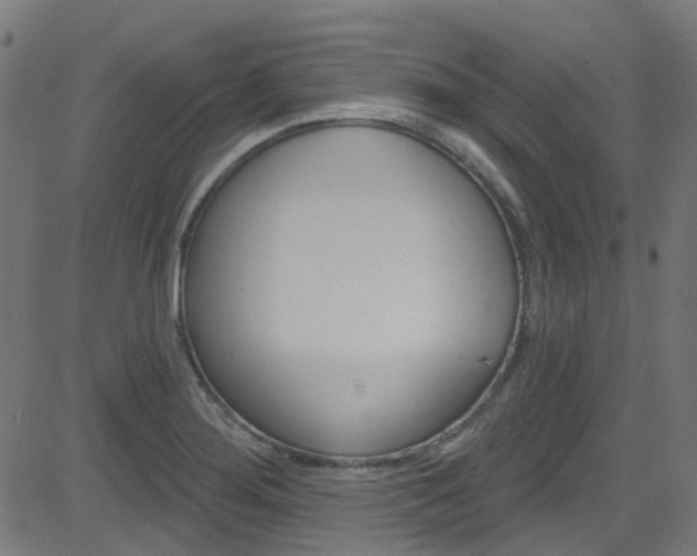 X0000082961276200702011104
