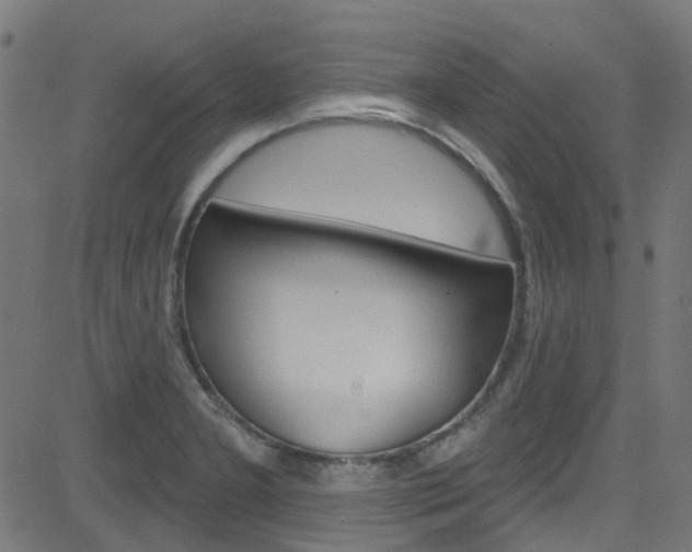 X0000082961277200702011103