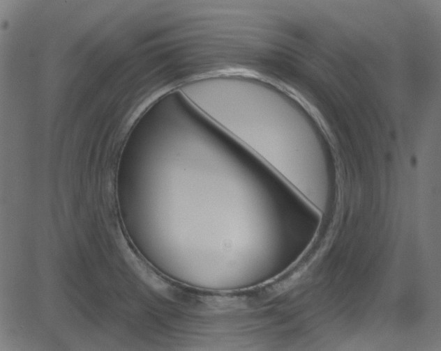 X0000082961281200702011103