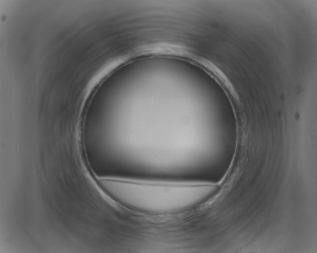 X0000082961285200702011103