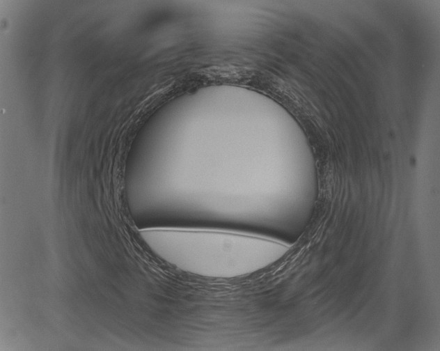 X0000082961297200702011102