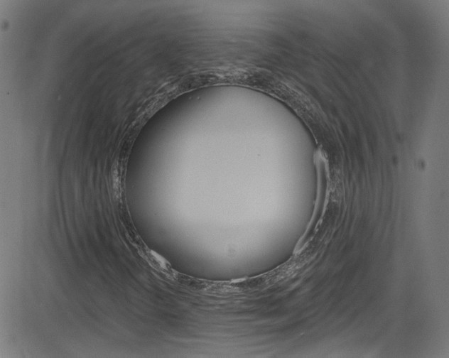 X0000082961298200702011102