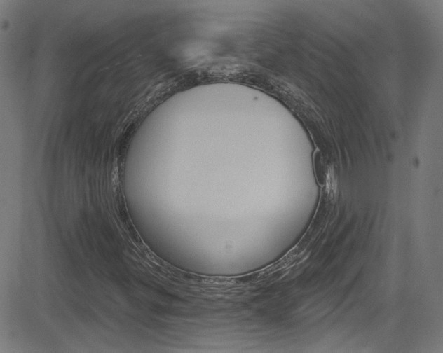 X0000082961299200702011102