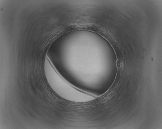 X0000082961300200702011102