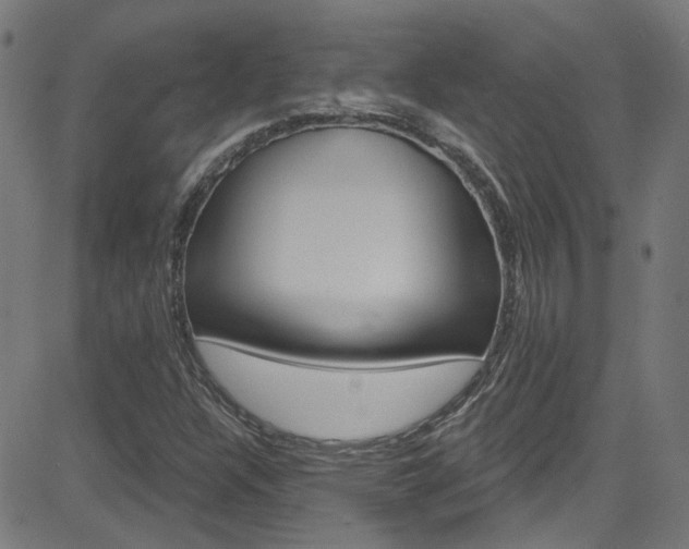X0000082961304200702011103