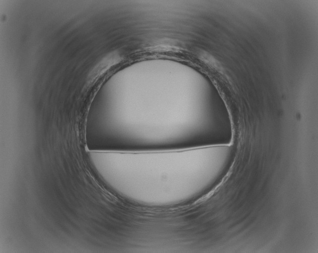 X0000082961305200702011103