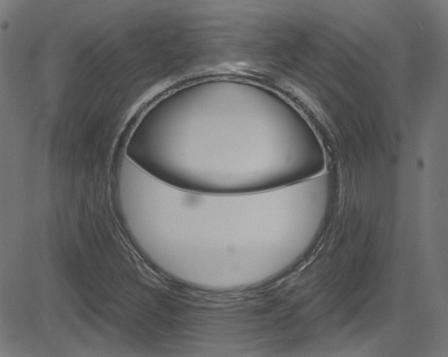 X0000082961308200702011103
