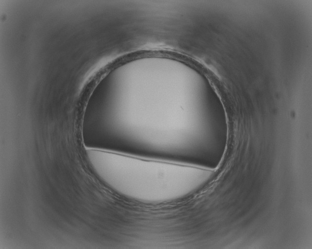 X0000082961311200702011103