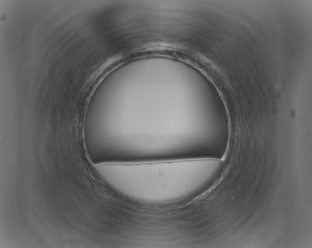 X0000082961313200702011103