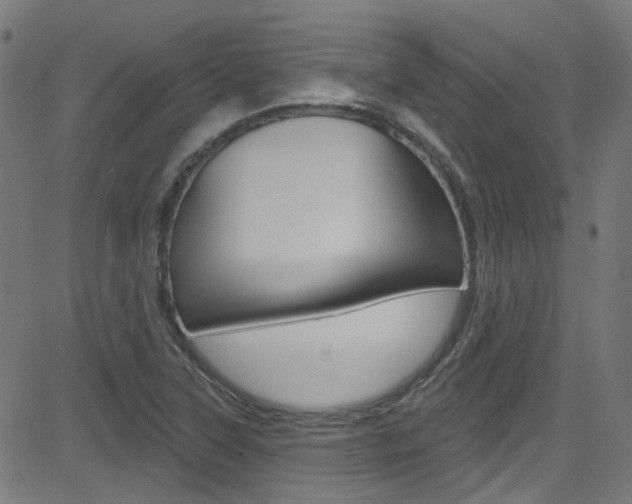 X0000082961315200702011103