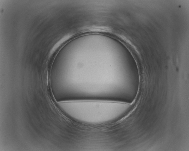 X0000082961317200702011103