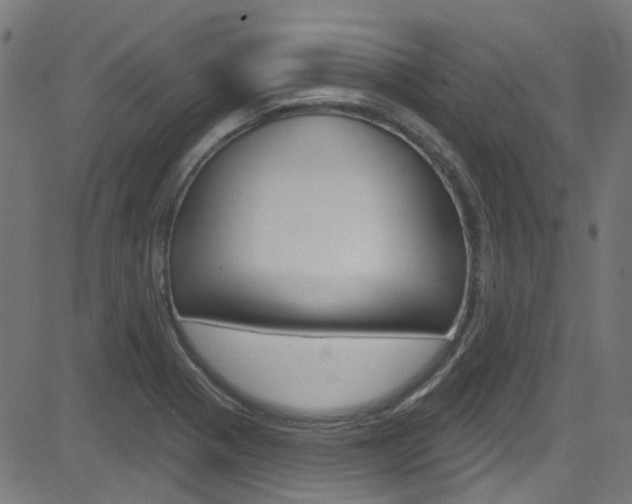 X0000082961321200702011103