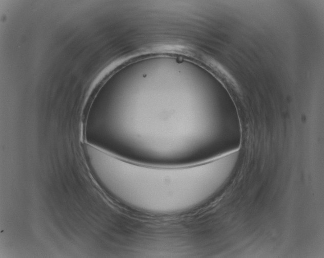 X0000082961324200702011103