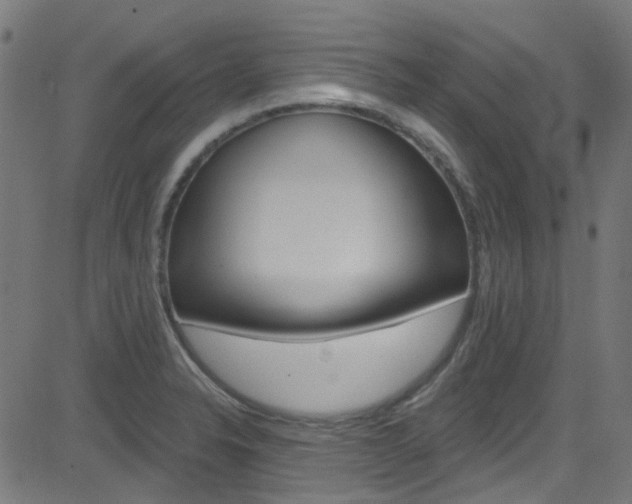 X0000082961326200702011103