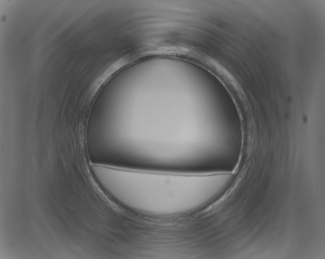 X0000082961329200702011103