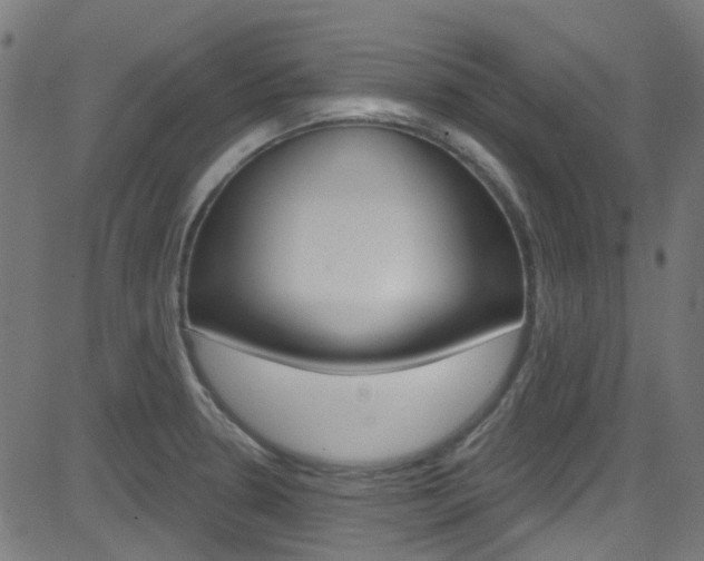 X0000082961330200702011103