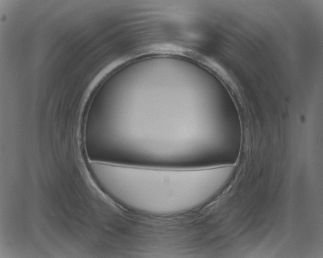 X0000082961331200702011103