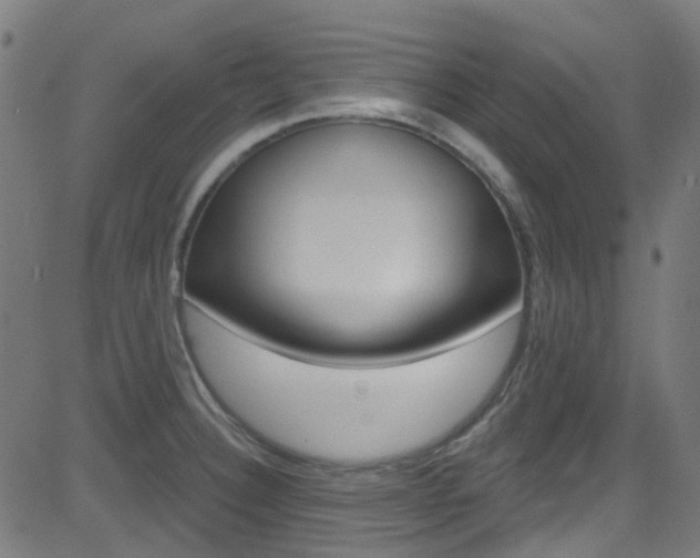 X0000082961332200702011103