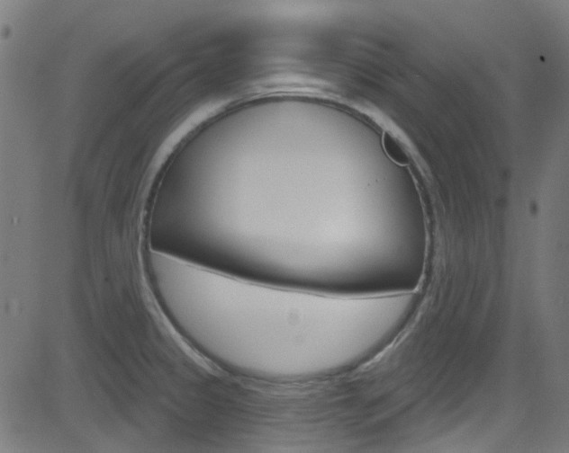 X0000082961333200702011103
