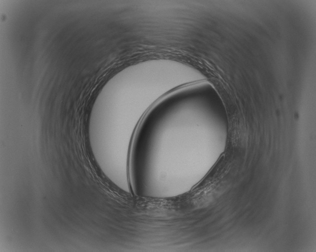 X0000082961345200702011102