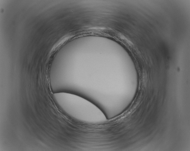 X0000082961354200702011102