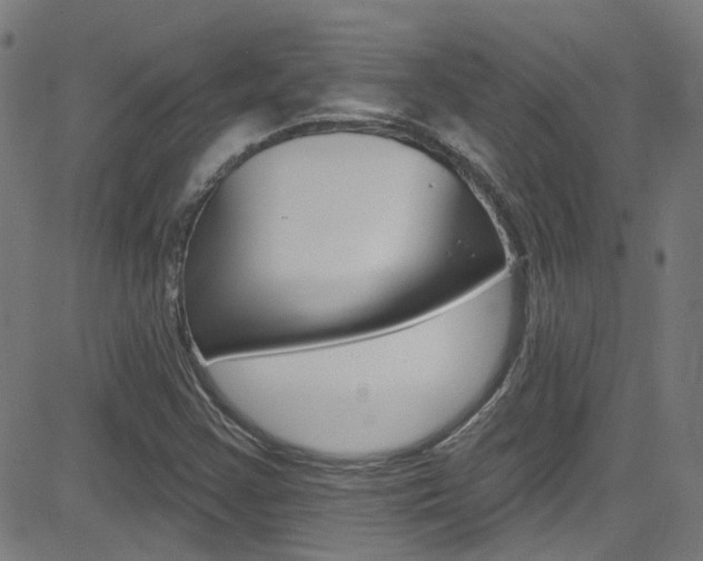 X0000082961355200702011102
