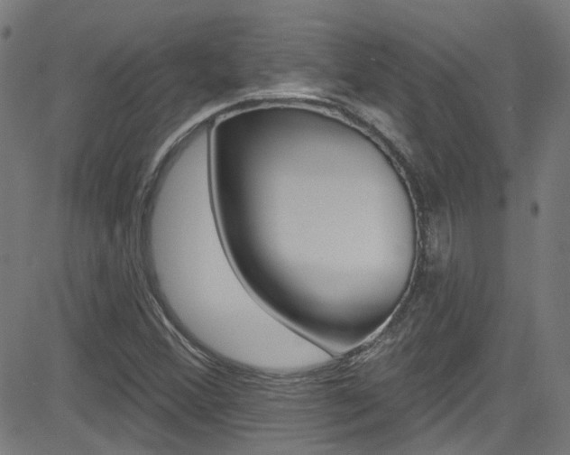 X0000082961356200702011102