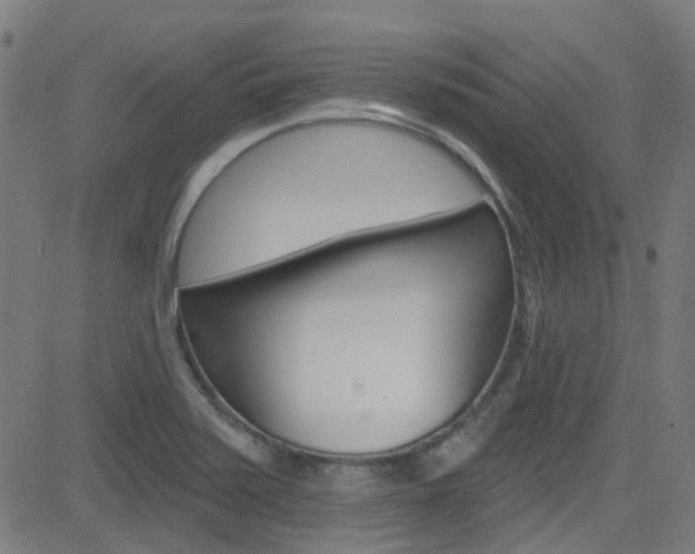 X0000082961371200702011102