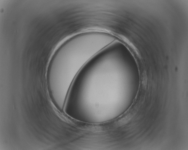 X0000082961372200702011102