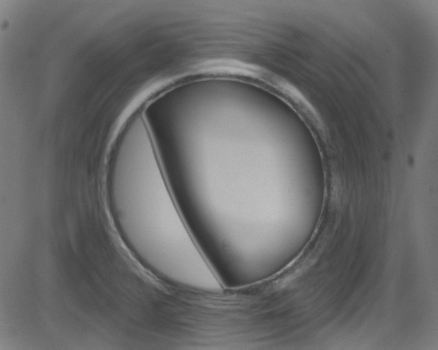 X0000082961376200702011102