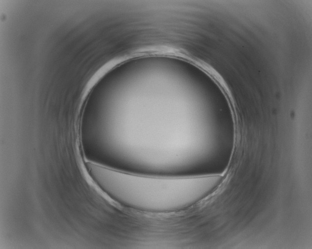 X0000082961389200702011102