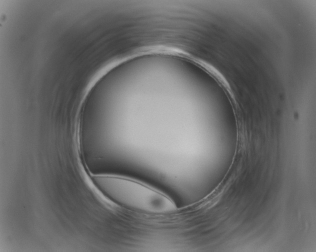 X0000082961391200702011102