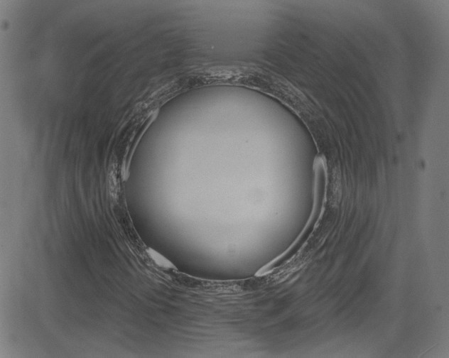 X0000082961394200702011101