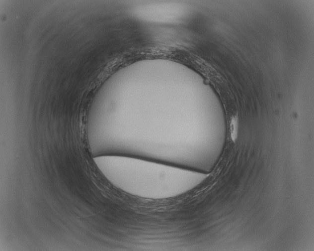 X0000082961395200702011101