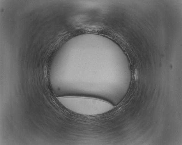 X0000082961396200702011101