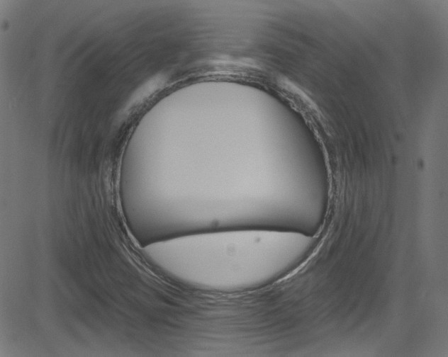 X0000082961403200702011101