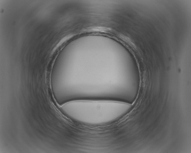 X0000082961404200702011101