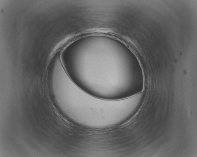 X0000082961406200702011101