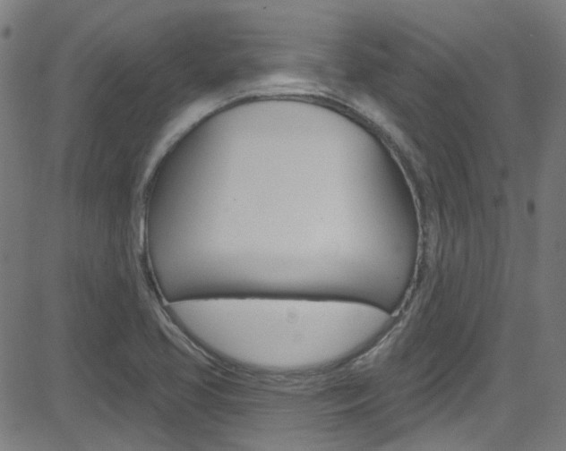 X0000082961413200702011101