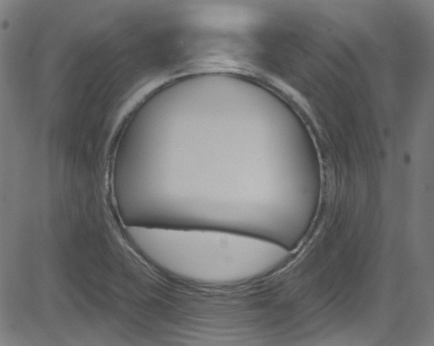 X0000082961415200702011101